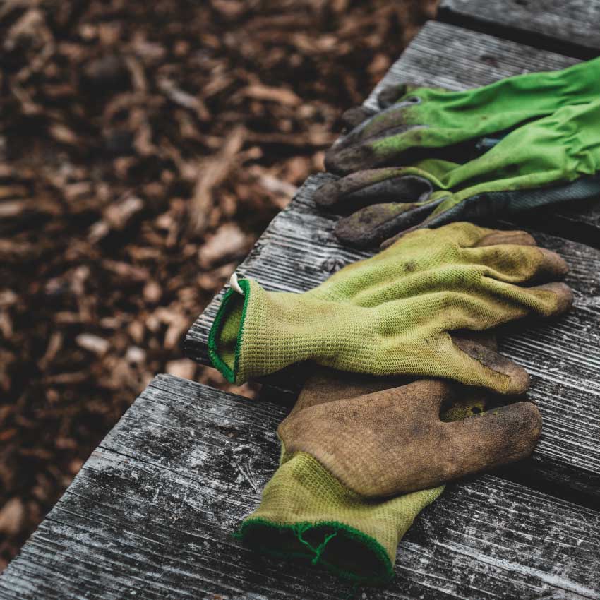 Des gants de jardinier